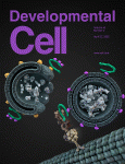 Developmental Cell